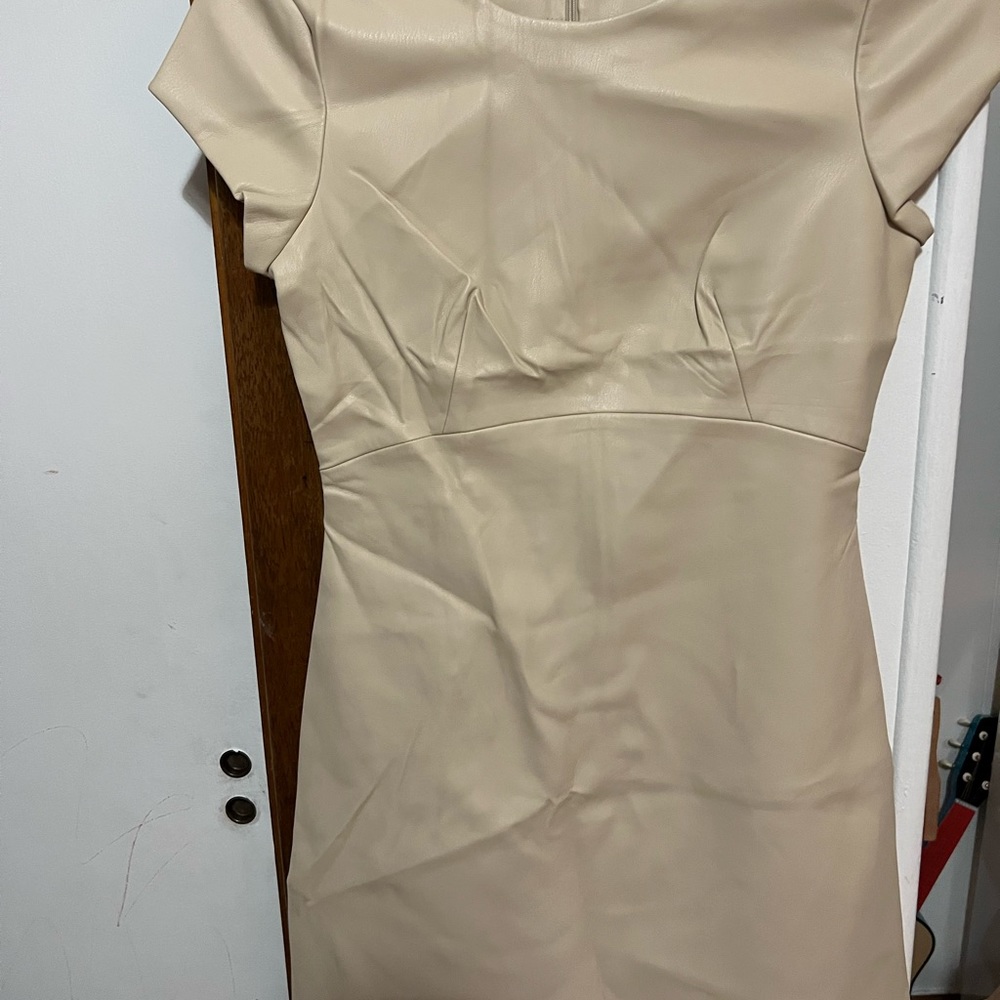 Zara trafaluc collection faux leather dress.